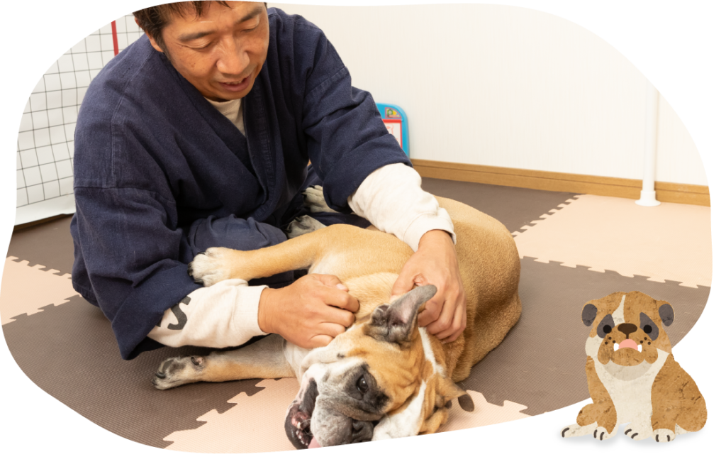 ワンちゃんも飼い主さんもリラックスできる