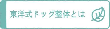 東洋式ドッグ整体とは