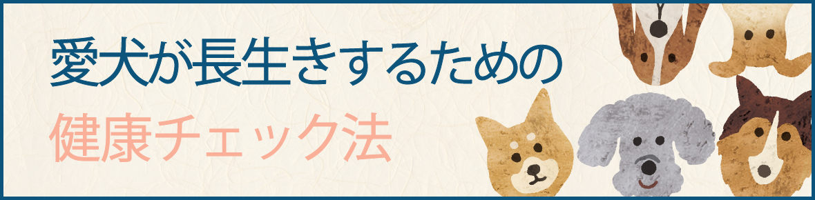 愛犬が長生きするための健康チェック法