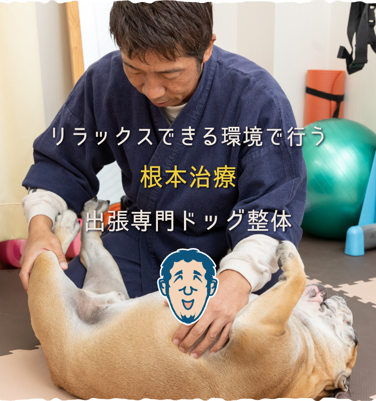 出張ドッグ整体の料金とサービスの流れ｜関西出張専門「犬の整体」すまいるDog整体